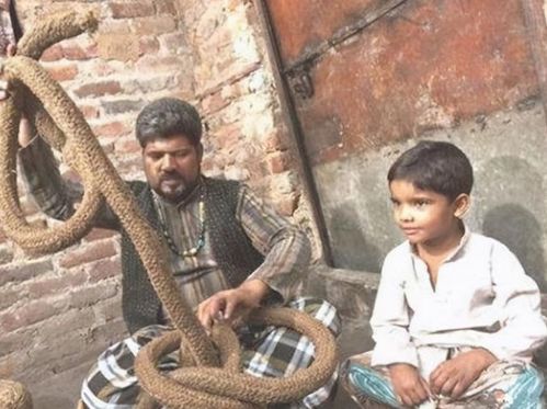 澳门正版蛇蛋图|理论解答解释落实_奢华集.5.794