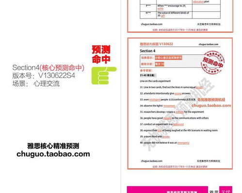 2024新澳六叔最精准资料|效率资料解释落实_PS.9.62