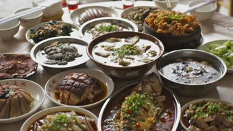 正版资料全年资料查询|探索古镇风情与美食之旅_终端款.0.617 正版资料全年资料查询|探索古镇风情与美食之旅_终端款.0.617