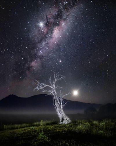 四不像正版论坛|月夜下的星辰与梦想_WearOS.7.319 四不像正版论坛|月夜下的星辰与梦想_WearOS.7.319